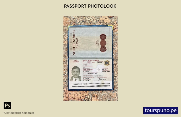 Plantilla de aspecto fotográfico de versión de pasaporte de Noruega lista para i